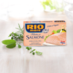 Imagem de Canned Salmon Fillets
